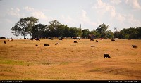 Photo by LoneStarMike | Not in a City  rural, cattle, farm, ranch,